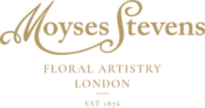 Moyses Stevens logo